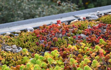 the cost of Upper Clapton green roof installation