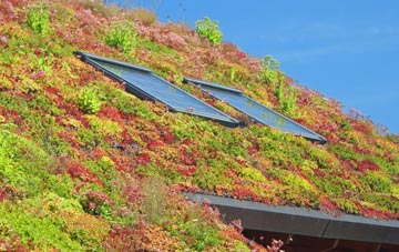 Upper Clapton living roof systems